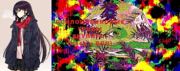 МДПВ Армянск