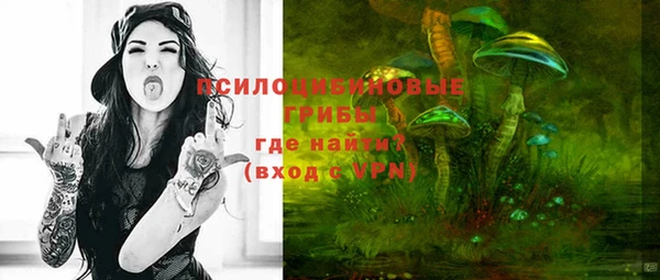 СК Аркадак