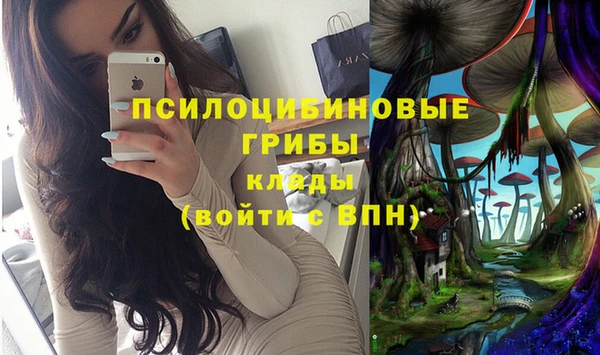 СК Аркадак