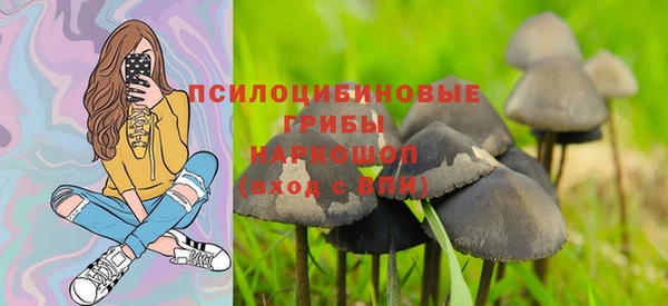 МДПВ Армянск